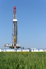 land oil drilling rig on green wheat field