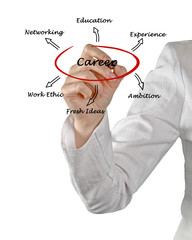 Wall Mural - Diagram of career success