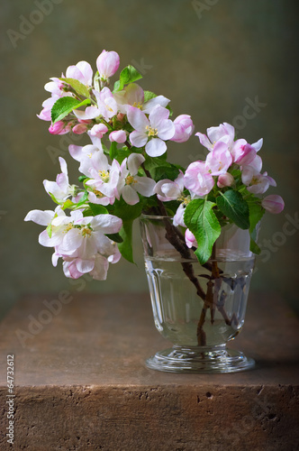 Tapeta ścienna na wymiar Still life with a branch of blossoming apple tree