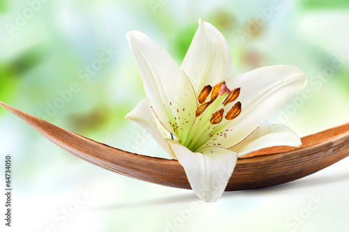 Obraz w ramie Beautiful white lily flower on a coco palm leaf