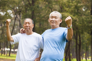 happy senior brothers enjoy retire time in the park