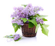 © bluebat - Lilac bouquet in a wicker basket