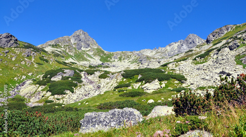 Board z aluminiowym obramowaniem Wysokie tatry latem, Słowacja, Europa