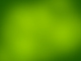 Fototapeta  - Green abstract light background