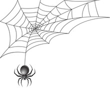 Black Spider With Web Background