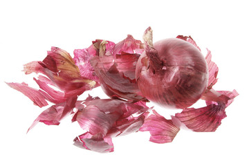 Poster - Red Onion and Skin