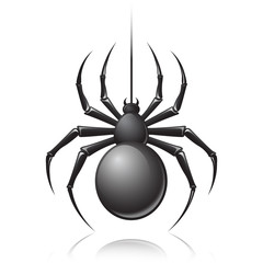 Canvas Print - Black spider emblem