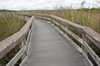 © pitsch22 - Everglades Nat. Park, Anhinga Trail