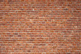 Fototapeta Sawanna - Brick Wall Background
