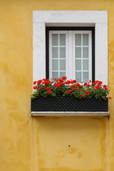 Wall Mural - Lisbon window