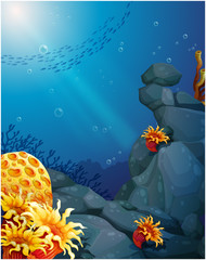 Poster - The corals near the rocks and the school of fish