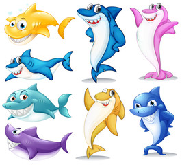 Wall Mural - A group of colorful sharks