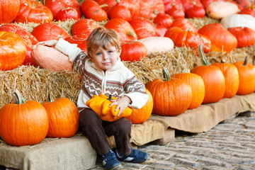 little boy sitting on pumpkin patch