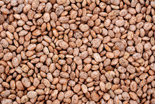 Pinto Beans Background