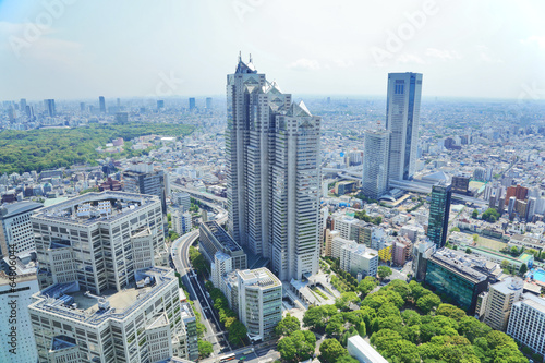 Dekoracja na wymiar  widok-na-tokyo-stolica-japonii