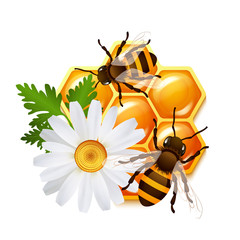 Poster - Honeycomb bee flowers emblem