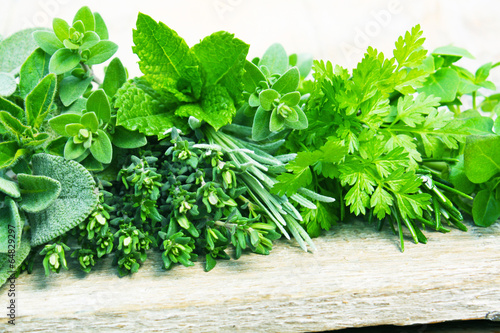 Fototapeta do kuchni Świeże zielone zioła i przyprawy