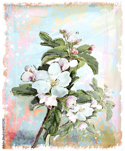 Fototapeta do kuchni Apple flower blossoms in full bloom