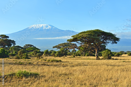 Tapeta ścienna Park narodowy amboseli
