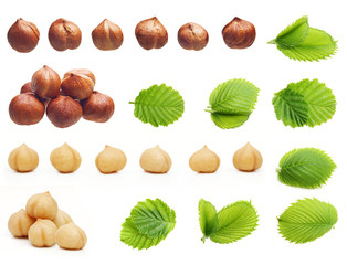 Forest hazelnuts isolated