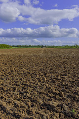 Wall Mural -  field