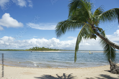 Board z aluminiowym obramowaniem Brazylia plaży palmy nordeste bahia