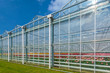 Side view of a greenhouse with flowers inside
