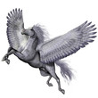 Silver Winged Pegasus