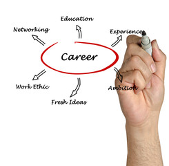 Wall Mural - Diagram of career success