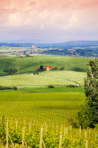 Board z aluminiowym obramowaniem Dom blisko winnicy w Tuscany krajobrazie, Italy