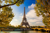 Fototapeta Paryż - Eiffel Tower with boat on Seine in Paris, France