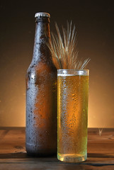 glass and bottle of cold beer