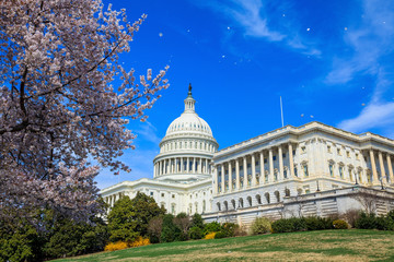 Fototapete - US Capitol Building - Washington DC United States
