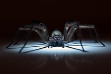 Huge Spider In Ambush
