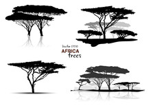 Silhouette Of Africa Trees Black On White Background, Vector