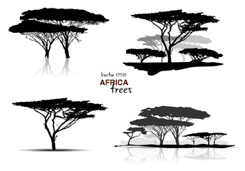 Silhouette of africa trees black on white background, vector