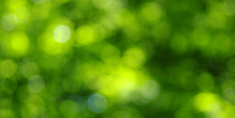 green light background