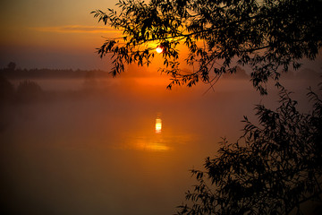 Wall Mural - foggy sunrise over the lake