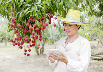 Lychees .