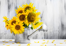 Still Life Bouquet Sunflowers Watering Can