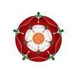 Tudor Dynasty Rose – vector shaded illustration – English Symbol