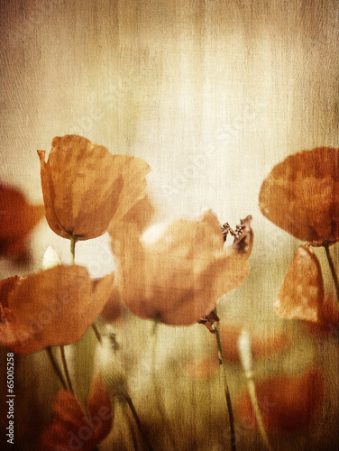 Plakat na zamówienie Grunge style photo of poppy flower field