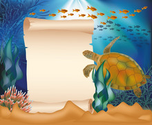 Underwater Card With Turtle And Old Paper Scroll