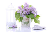 Fototapeta Lawenda - Lilac flowers