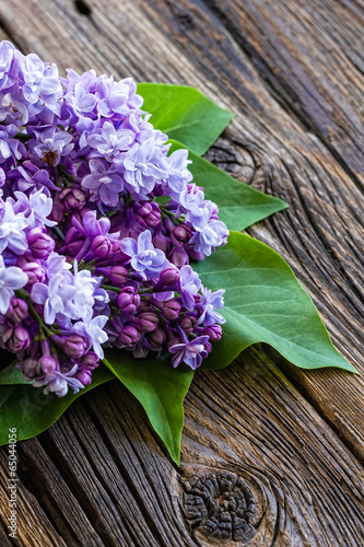 Naklejka dekoracyjna Lilac flowers