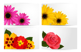 Fototapeta Sypialnia - Set of gift cards with different colorful flower. Vector