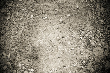 Gravel In Mud Texture Background
