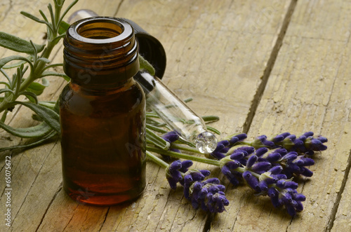 Fotografía Lavandula lavanda Lavanda Lawenda Лаванда