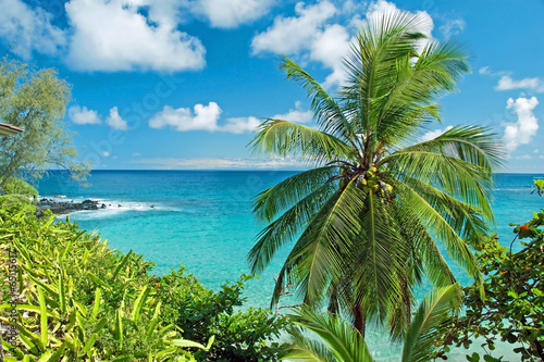 Board z aluminiowym obramowaniem Hawajski raj na wyspie maui