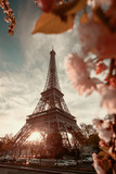 Fototapeta  - Eiffel Tower against sunrise  in Paris, France